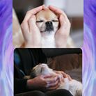 21271781_1505439189540611_2297769823611912192_n